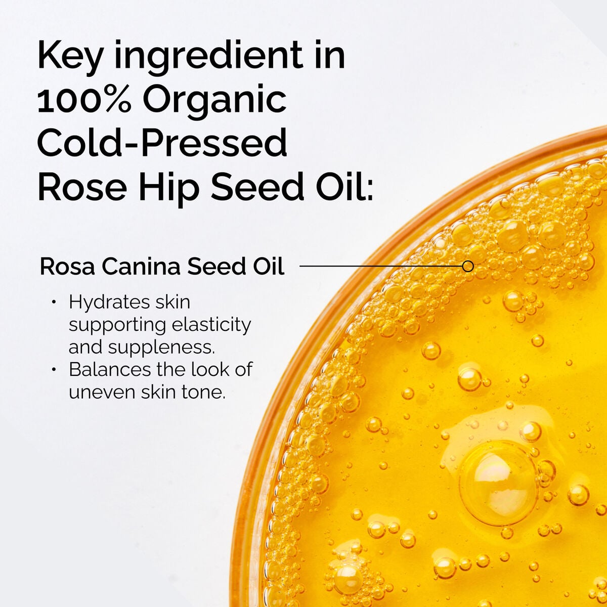 100-organic-cold-pressed-rose-hip-seed-oil-v1 FY25-D41247-ORD-Web-PDP-100-Rose-Hip-Oil-1x1-EN-2.jpg