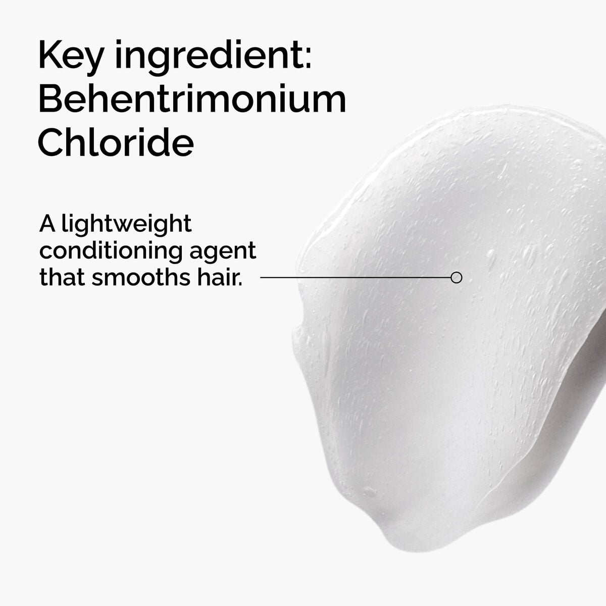 behentrimonium-chloride-2-conditioner-e3 FY25-D41247-ORD-Web-PDP-BTC-1x1-EN-2a.jpg