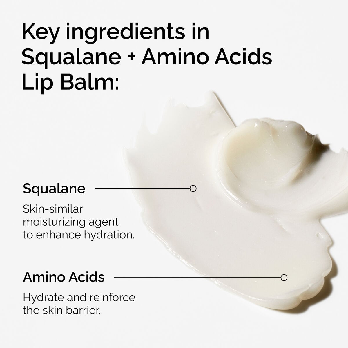 squalane-amino-acids-lip-balm-w6 FY25-D41247-ORD-Web-PDP-Sql-Amino-Lip-1x1-EN-2a.jpg