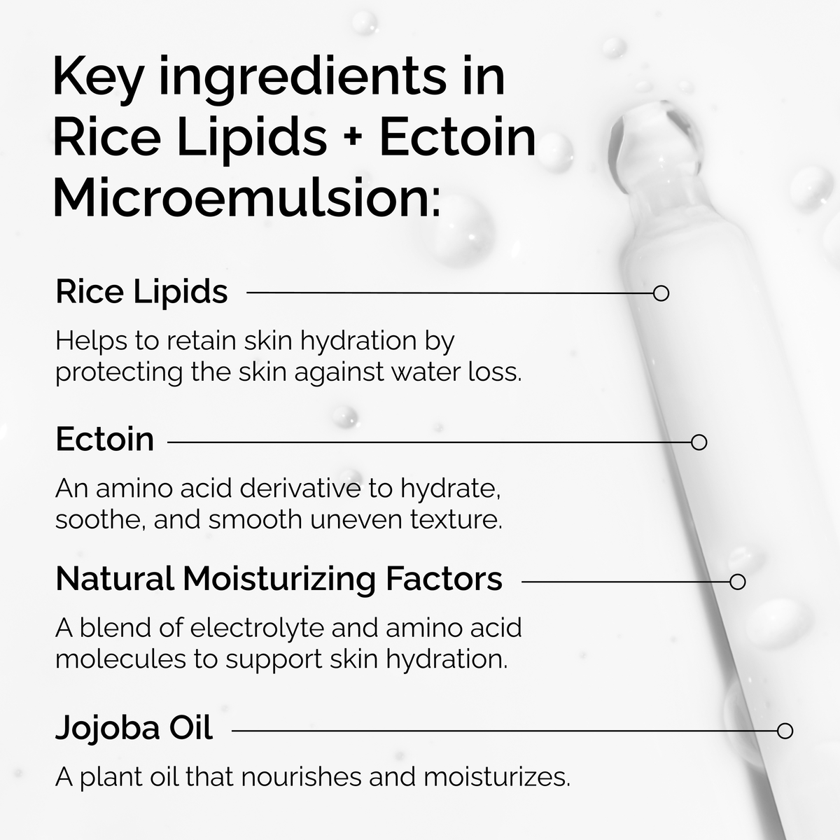 rice-lipids-ectoin-microemulsion-o9 ord-rice-lipids-ectoin-microemulsion-key-ingredients.png