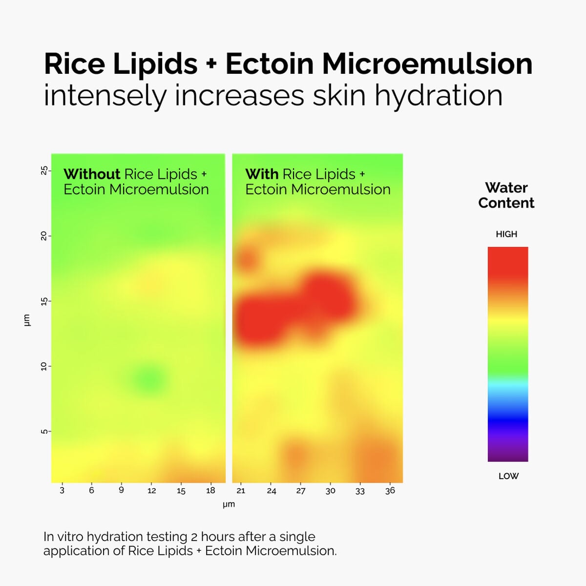 rice-lipids-ectoin-microemulsion-o9 ord-rice-lipids-ectoin-microemulsion-thermal-before-after.jpg